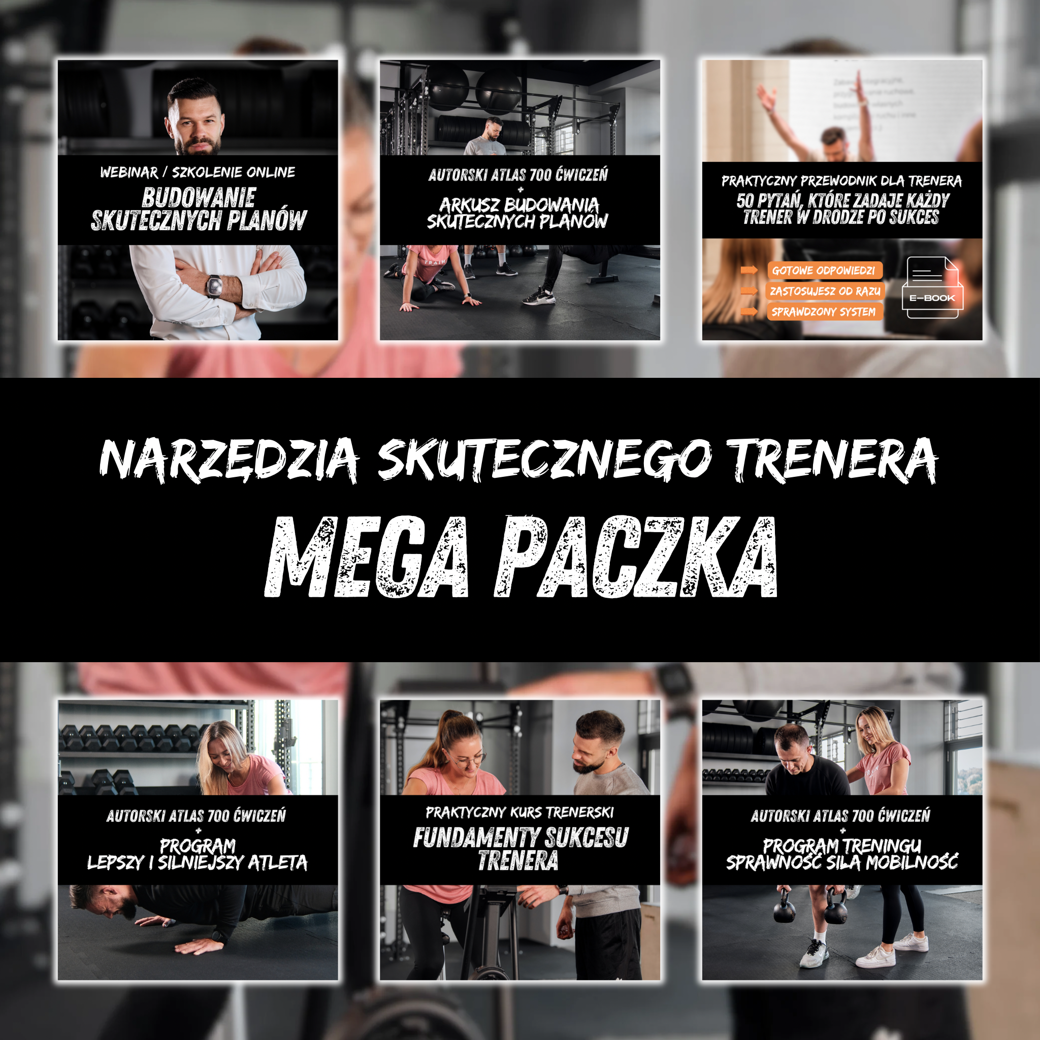 Mega Paczka (kursy, atlas, arkusz, programy, ebook)